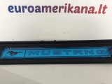 Door Sill Plates, Illuminated